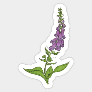 Foxglove Flower Sticker